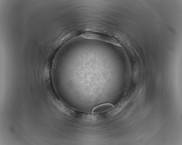 X0000112810282200908211151