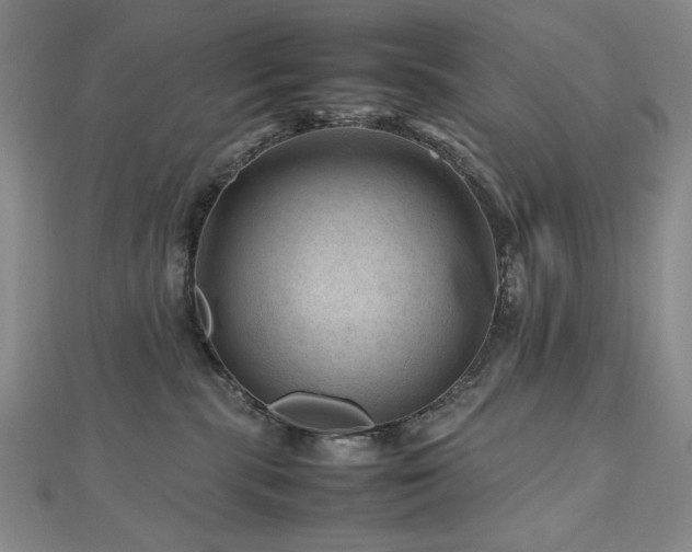 X0000112810283200908211151