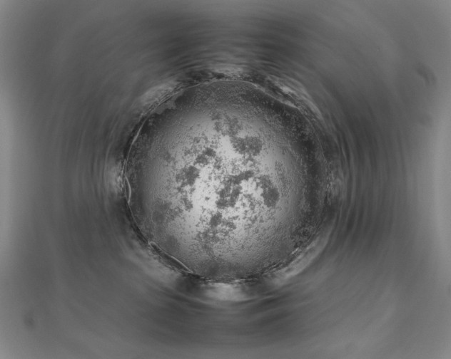 X0000112810285200908211151