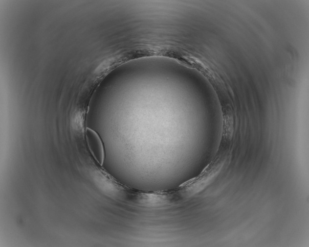 X0000112810286200908211151