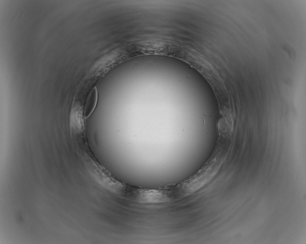 X0000112810287200908211151