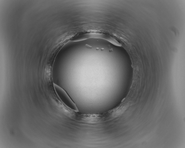 X0000112810288200908211151