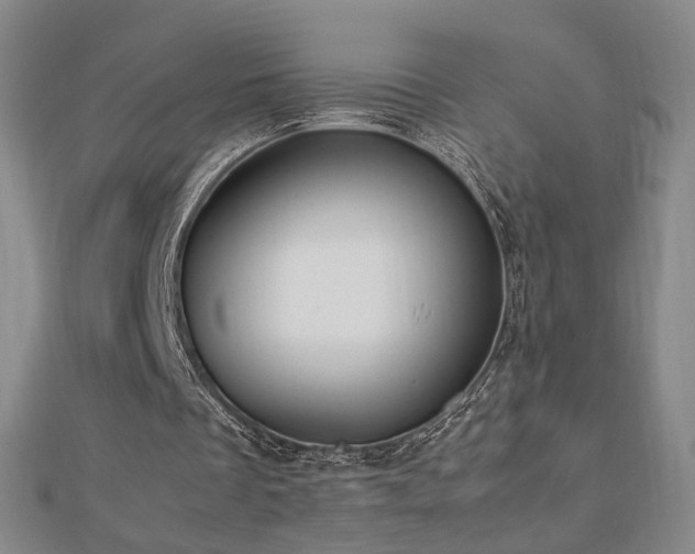 X0000112810289200908211150
