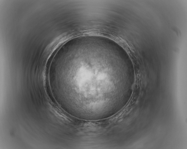 X0000112810290200908211150