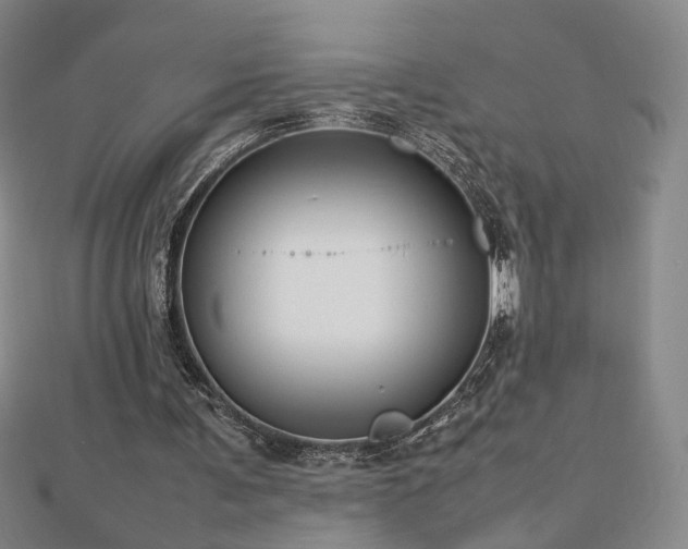 X0000112810291200908211150