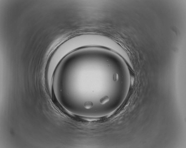 X0000112810293200908211150