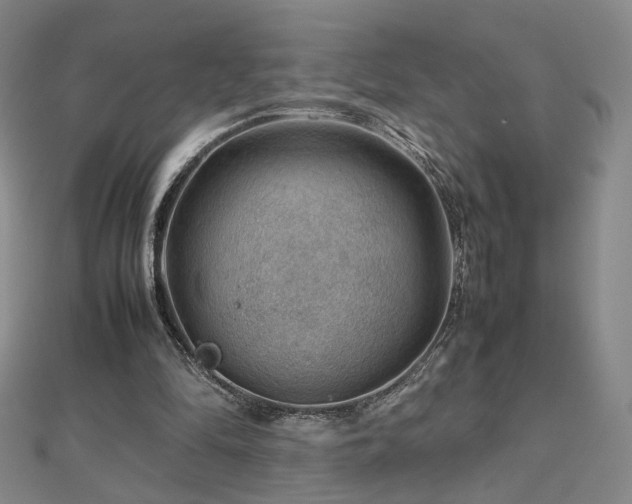 X0000112810294200908211150