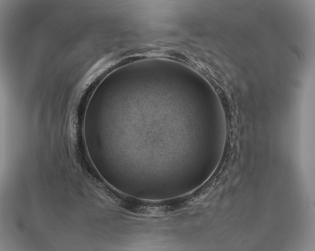 X0000112810295200908211150