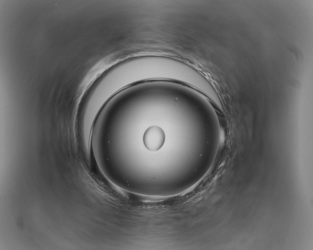X0000112810296200908211150