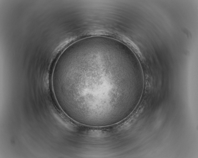 X0000112810298200908211150