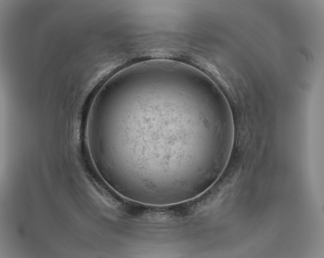 X0000112810299200908211150