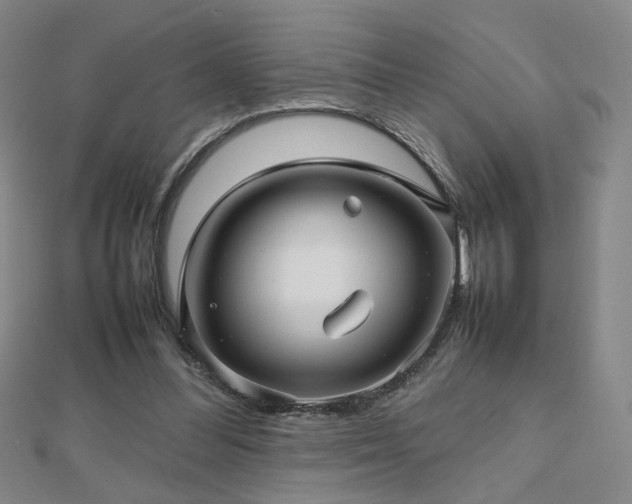 X0000112810300200908211150