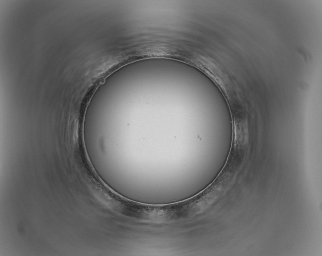 X0000112810301200908211150