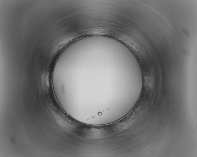 X0000112810302200908211150