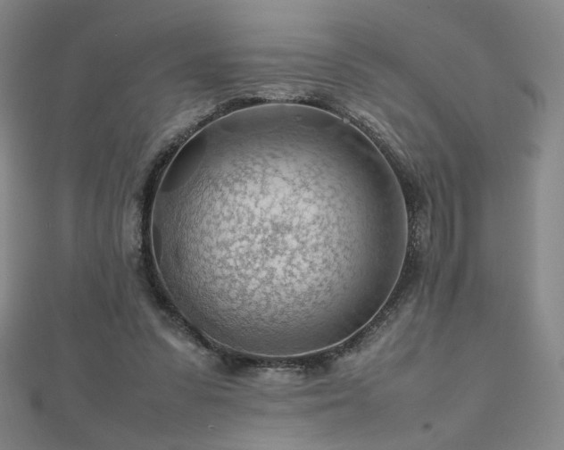 X0000112810303200908211150