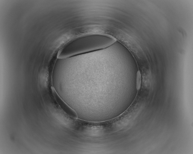 X0000112810304200908211150