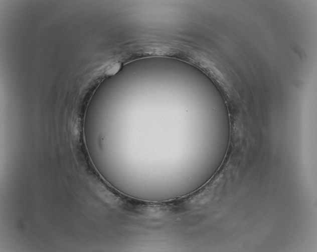 X0000112810305200908211150