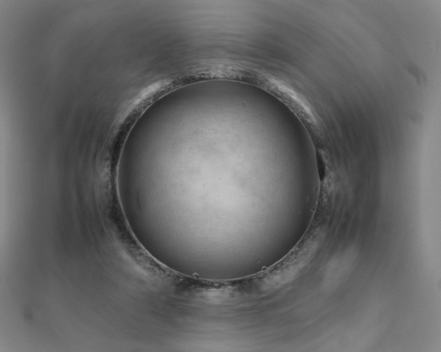 X0000112810306200908211150