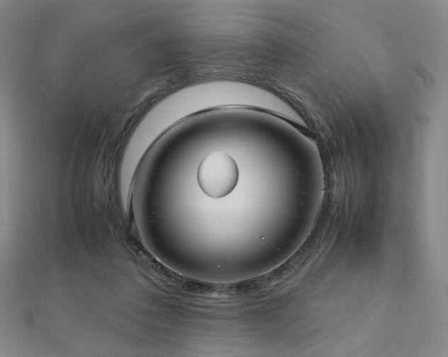 X0000112810308200908211150