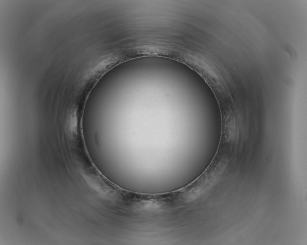 X0000112810310200908211150
