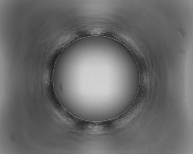 X0000112810311200908211150