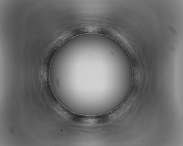 X0000112810313200908211150