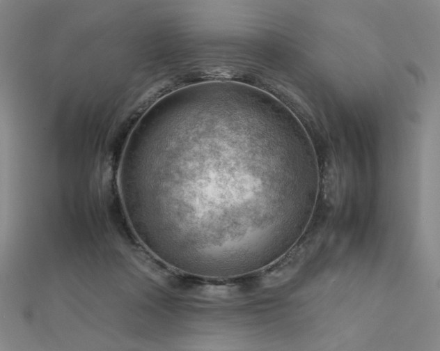 X0000112810314200908211150