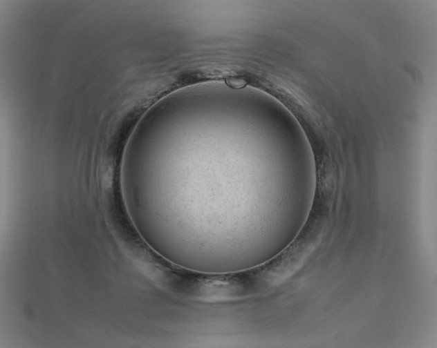 X0000112810315200908211150