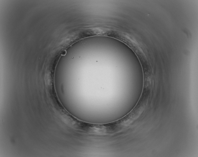 X0000112810317200908211150