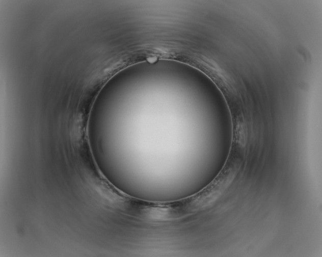 X0000112810318200908211150