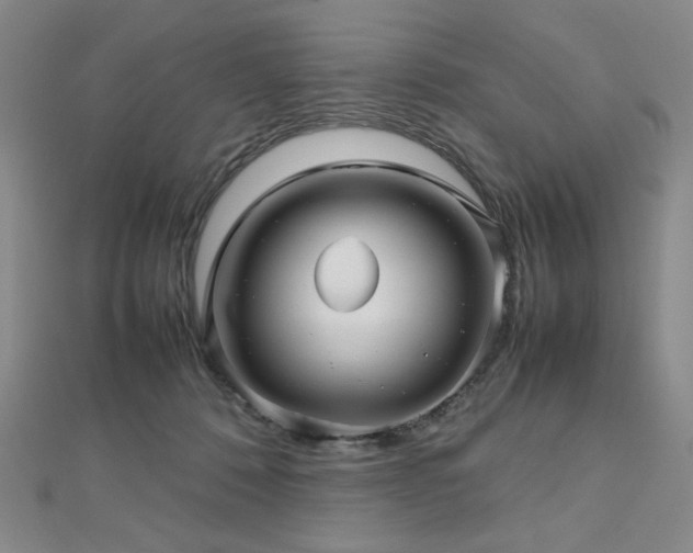X0000112810320200908211149
