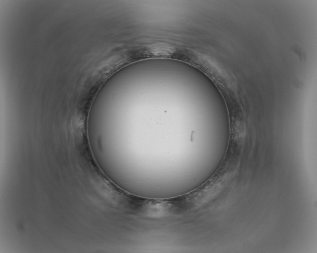 X0000112810321200908211149
