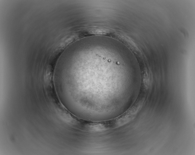 X0000112810322200908211149