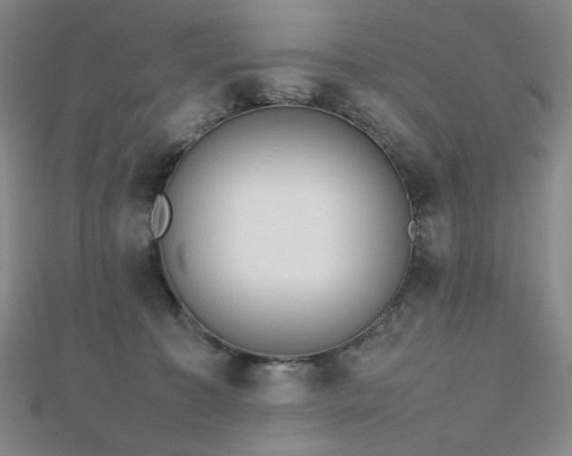 X0000112810323200908211149