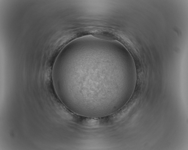 X0000112810325200908211149