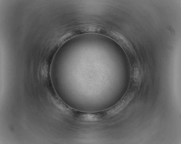 X0000112810326200908211149