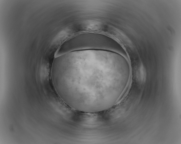 X0000112810328200908211149