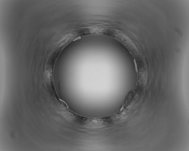 X0000112810329200908211149