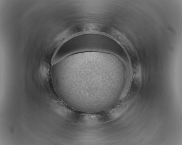X0000112810332200908211149