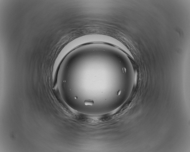X0000112810333200908211149