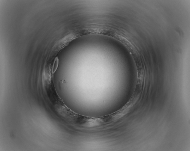 X0000112810334200908211149
