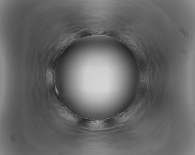 X0000112810335200908211149