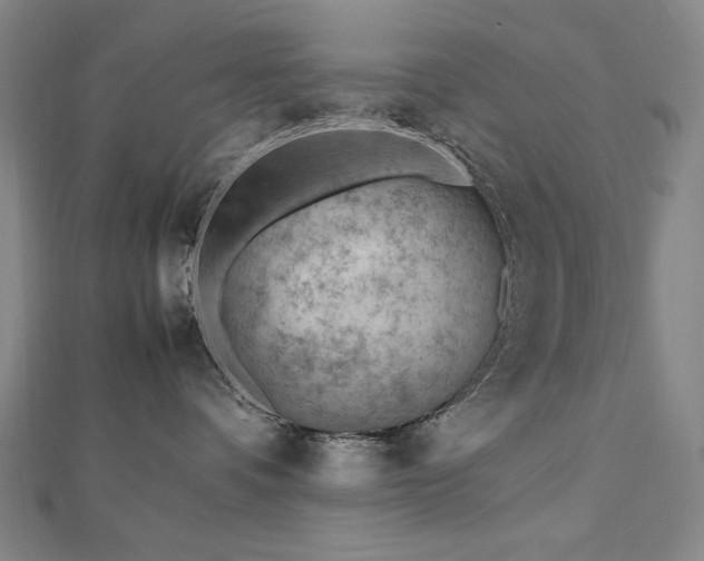 X0000112810336200908211149
