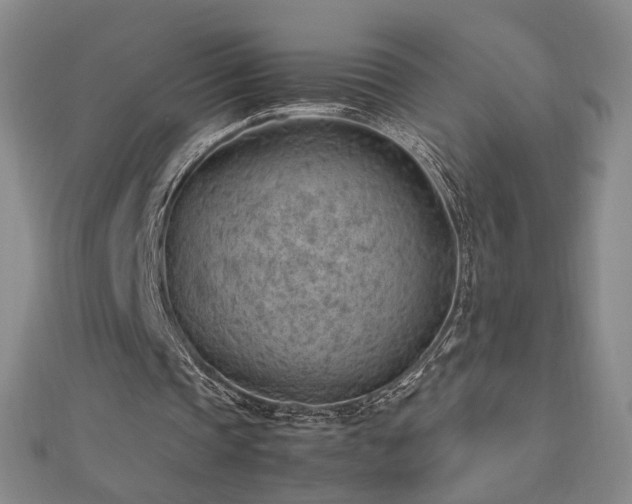 X0000112810337200908211149