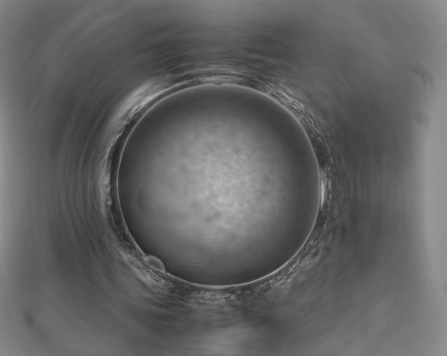 X0000112810339200908211149