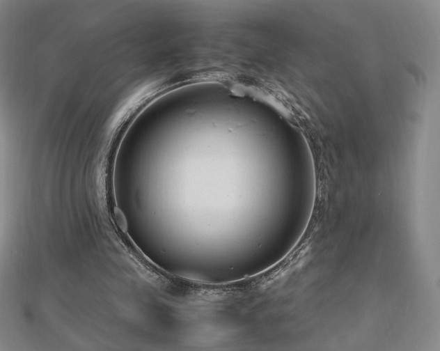 X0000112810341200908211149