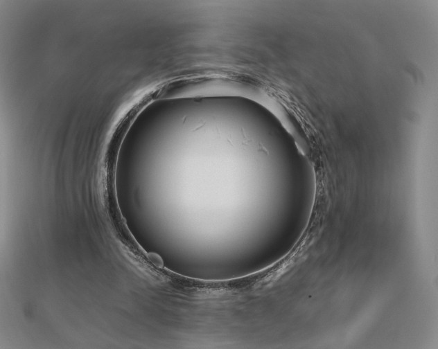 X0000112810342200908211149