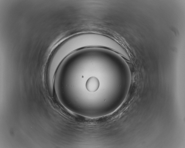 X0000112810344200908211149
