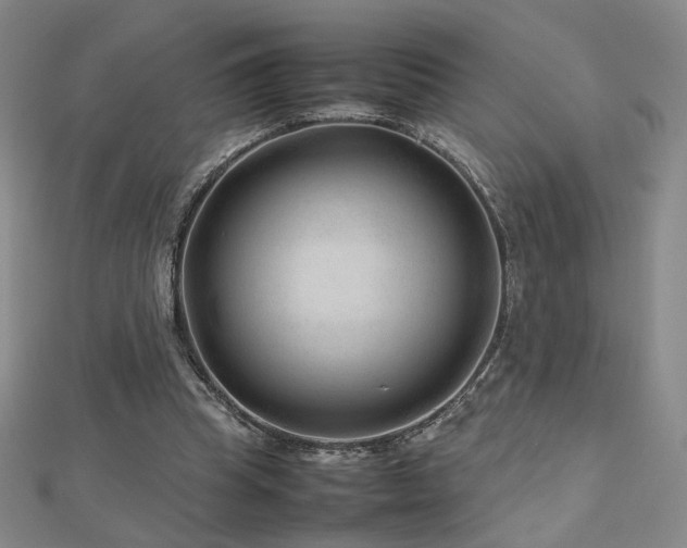X0000112810345200908211149