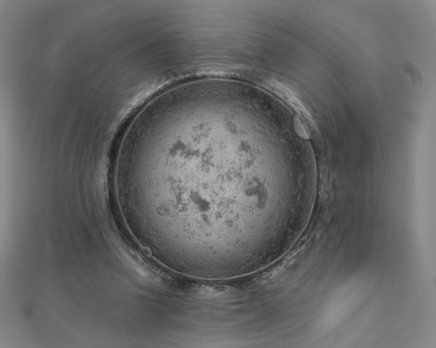 X0000112810346200908211149